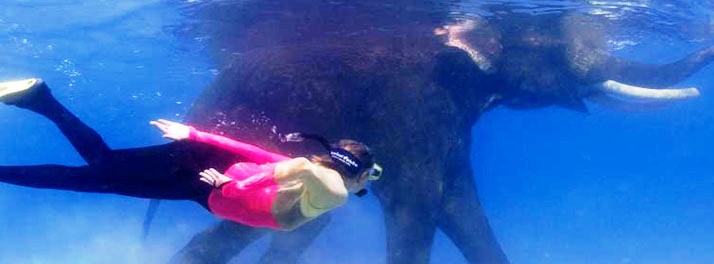 616/Barefoot at Havelock - Havelock Island 012.jpg